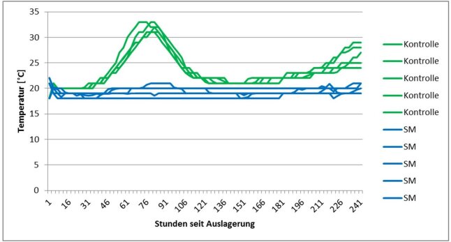 Abbildung 2: Kurvendiagramm: Temperaturverlauf von Laborsilagen des ersten Erntetermins mit (blau) und ohne (grün) Zusatz eines biologischen Siliermittels im Test auf aerobe Stabilität nach 49 Tagen Silierdauer und zweimaligem Luftstress.