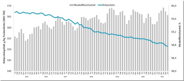 Diagramm, aus dem hervor geht, dass bei fallenden Rohproteingehalten in der mittleren Mastration der Musklefleischanteil im Schlachtkörper gleich bleibt beziehungsweise zunimmt