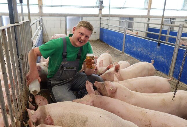 Person mit Bier und Bierhefe im Stall mit Mastschweinen