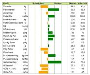 Beispiel eines Stärken-Schwächen-Profils als Balkendiagramm mit 21 Kriterien. 9 Schwächen als gelbe Balken nach links, 11 grüne balken als Stärken nach rechts, 1 Kriterium weder Stärke noch Schwäche