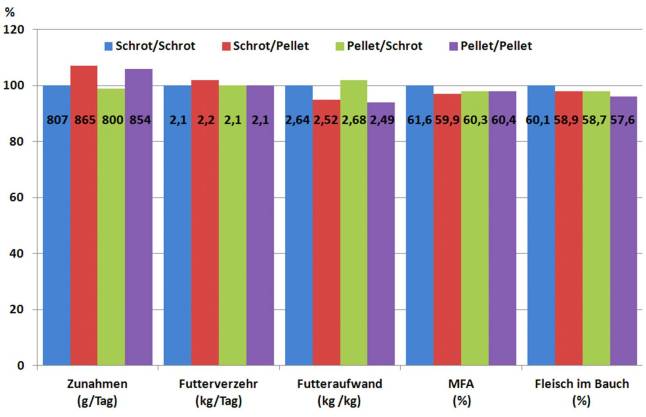 Säulendiagramm zu den Ergebnissen relativ zur Gruppe mit durchgängiger Schrotfütterung