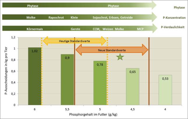 Phosphorausscheidung pro Tier in der Schweinemast in Abhängigkeit vom mittleren Phosphorgehalt des Mastfutters. (Basis: 30-120 Kilogramm Lebendmasse und 850 Gramm tägliche Zunahmen)