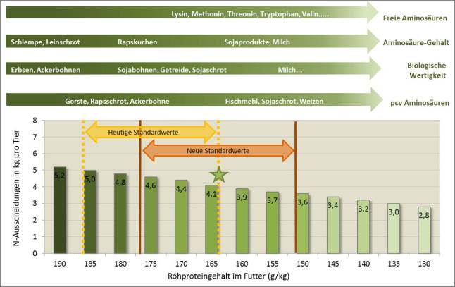 Stickstoffausscheidung pro Tier in der Schweinemast in Abhängigkeit vom mittleren Rohproteingehalt des Mastfutters. (Basis: 30-120 Kilogramm Lebendmasse und 850 Gramm tägliche Zunahmen)