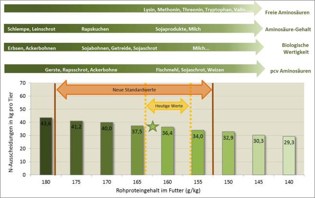 Stickstoffausscheidung in der Ferkelerzeugung pro Tier in Abhängigkeit vom mittleren Rohproteingehalt aus Zuchtsauen- und Ferkelfutter (Basis: 24 aufgezogene Ferkel pro Sau und Jahr).