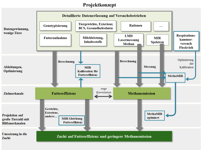 Schematische Darstellung des eMissionCow Projektkonzepts  mit den Arbeitsabläufen und Zusammenhängen der Daten