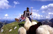 Für gealpte Tiere wird eine Behirtung besonders empfohlen.