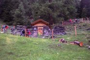Elektrozaun zum Schutz der Bienenstände