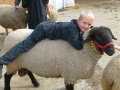 Bub liegt auf Schaf