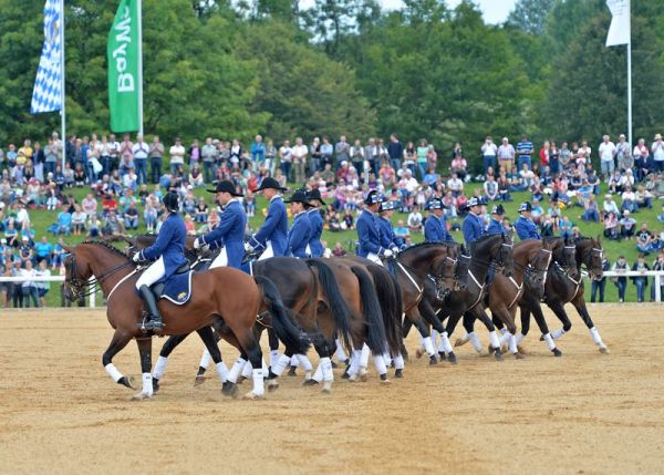 Informationen für Besucher - Haupt- und Landgestüt Schwaiganger - LfL