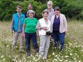 Drei Frauen und drei Männer stehen inmitten einer Wiese mit vielen Margeriten. (Foto: LfL)