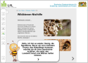 Zu sehen ist ein Screenshot, auf dem die gezeichnete Sandbiene "Sandy" das Thema Wildbienen-Nisthilfe ankündigt.