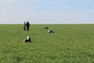 LfL-Forscher in dem Feld, in dem die neue Regenwurmart gefunden wurde. 