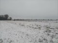 Schneebedeckte Landschaft mit trockenen Pflanzenstängeln eines Altgrasstreifens