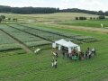 An einem weißen Zelt im Feld informieren sich Interessierte über die verschiedenen Versuche.