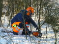 Ein Arbeiter mit Helm und Schutzausrüstung schneidet eine Hecke (Foto: LfL).
