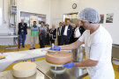 Vor den Augen interessierter Betrachter schmiert ein junger Mann mit Haarnetz und Hygienehandschuhen einen Laib Käse mit Salzwasser.