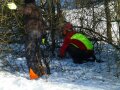 Zwei Personen arbeiten mit der Motorsäge in der Hecke.