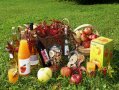 Diverse Streuobstprodukte wie z.B. Saft oder Apfelringe sind auf einer Wiese drapiert.