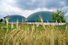 Zwei Kuppeln einer Biogasanlage