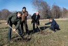 Vier Personen pflanzen zwei junge Wildapfel-Bäume