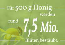 Grafik mit dem Schriftzug: für 500 g Honig werden rund 7,5 Mio. Blüten bestäubt.