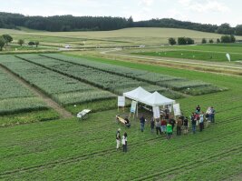 LfL Oekofeldtag 2024 aus der Luft