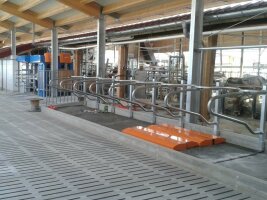 Blick in einen technisierten neuen Stall.