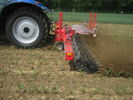 Traktor auf dem Feld bei der mechanischen Unkrautbekämpfung im Mulchsaat-Mais.