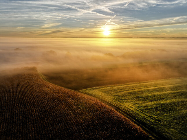 Luftbild von Feldern im Sonnenaufgang