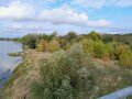 Der Blick von einer offenbar etwas erhöhten Position zeigt Weiden, anderes, niedrigeres Gehölz und Schilf auf einem Landstück an der blauen Elbe. (Quelle: LLG)