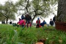 Viele Kinder suchen eine Streuobstwiese nach Obst ab und sammeln es. 