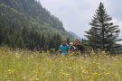 Gelb blühende Wiese mit Familie