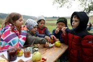 Fünf Kinder sitzen im Freien an einer Bierbank und lassen sich Streuobst schmecken.