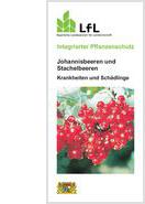 Titelblatt der Publikation