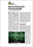 Titelblatt der Publikation