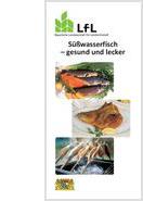 Titelblatt der Publikation