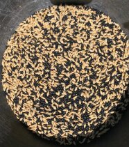 In einem Eimer ist das Saatgut von einer Getreide- und einer Linsenart gemischt