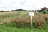 Feld mit Parzellen, vor einer Parzelle steht ein Feldschild