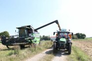 Ein Mähdrescher füllt das Erntegut in bereitgestellte Kisten auf einem Anhänger