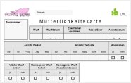 Darstellung des Formulars der Mütterlickkeitskarte mit Feldern zum Ankreuzen