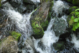 Wild sprudelndes Wasser in einem Bachlauf