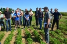 Besuchergruppe am Sojabohnenfeld