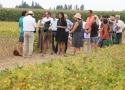 mehrere Menschen stehen auf einem Feld