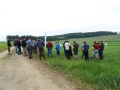 Besucher am Feld bei Betrieb Stangl 2018