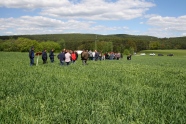 Besucher stehen auf einem Feld am Feldtag Stangl 2019