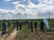 Besuchergruppe vor Lupinenfeld