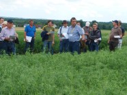 Besuchergruppe am Erbsenfeld