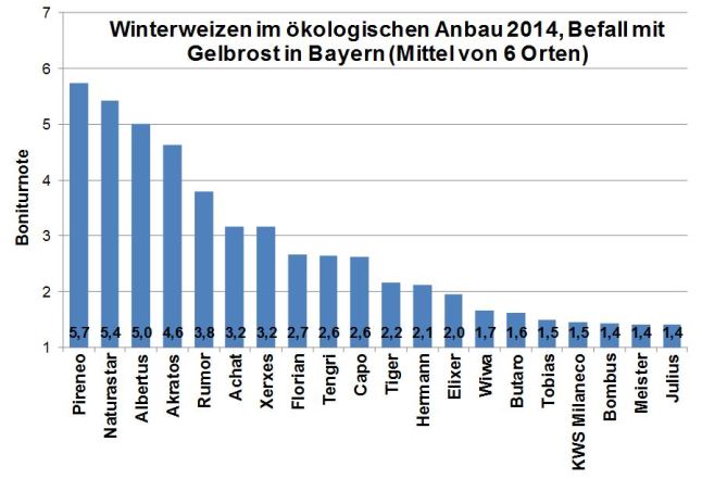 In der Grafik ist Anfälligkeit gegenüber Gelbrost in dem öko-LSV für Winterweizen für 2014 dargestellt. Die höchste Anfälligkeit mit Boniturnoten von etwa 5 wurde bei den Sorten Pireneo, Naturastar, Albertus und Akratos festgestellt. Auf den Plätzen folgen Rumor, Achat, Xerxes und Florian mit Boniturnoten von etwa 3 bis 4. Bei allen anderen geprüften Sorten war die Anfälligkeit geringer.