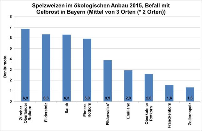 In der Grafik ist Anfälligkeit gegenüber Gelbrost in dem öko-LSV für Spelzweizen für 2015 dargestellt. Die höchste Anfälligkeit mit Boniturnoten von über 6 wurde bei den Sorten Zürcher Oberländer Rotkorn, Filderstolz und Samir festgestellt.  Ebners Rotkorn und Filderweis weisen ebenfalls eine hohe Anfälligkeit mit einer Boniturnote zwischen 5 und 6 auf. Bei allen anderen geprüften Sorten war die Anfälligkeit geringer.