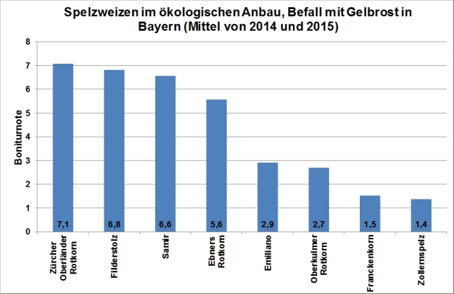 In der Grafik ist Anfälligkeit gegenüber Gelbrost in dem öko-LSV für Spelzweizen im Mittel der Jahre 2014 und 2015 dargestellt. Die höchste Anfälligkeit mit Boniturnoten von etwa  7 wurde bei den Sorten Zürcher Oberländer Rotkorn,  Filderstolz und Samir festgestellt.  Auf den Plätzen folgt Ebners Rotkorn mit einer Boniturnote von 5,6. Bei allen anderen geprüften Sorten war die Anfälligkeit geringer.